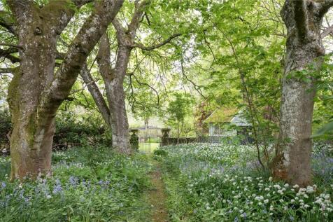 Garden Woodland