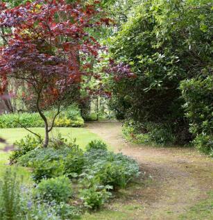 Garden Path