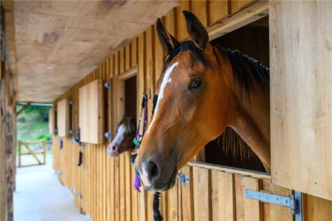 Stables