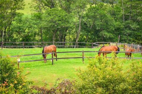 Paddocks
