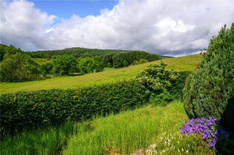 View From Garden