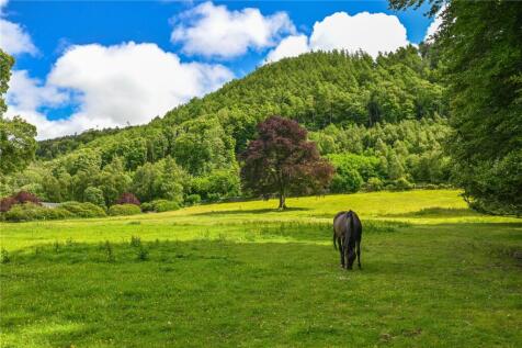Fields