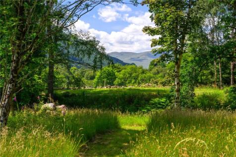 Wildflower Paths