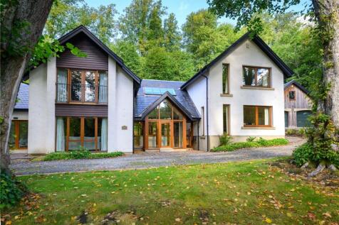 Lime Trees Front