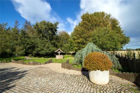 Driveway &amp; Garden