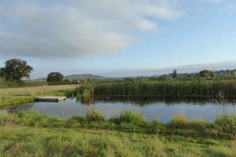 Meadow &amp; Pond
