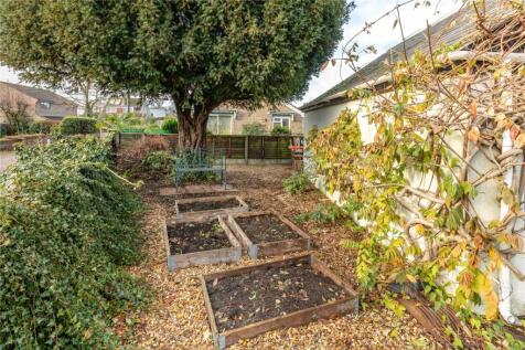Raised Beds