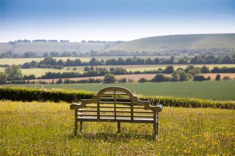 Bench and View