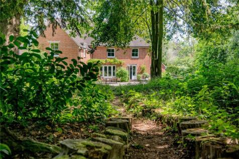 View To Wooded Area