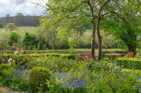 View To Paddock