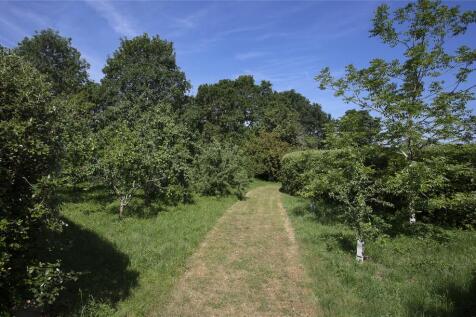 Grounds