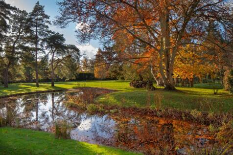 Grounds