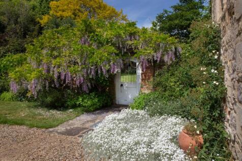 Wisteria Door