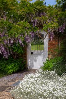 Wisteria Gate