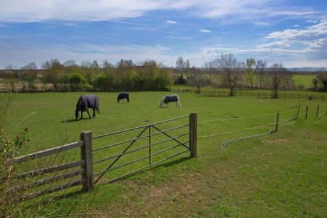 Paddock