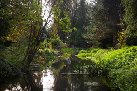 Stream