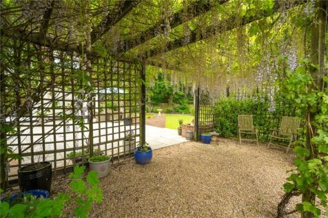 Wisteria