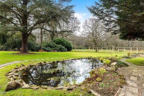 Pond