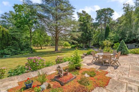Sun Terrace