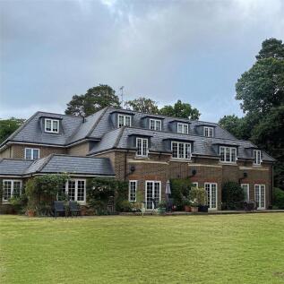 Rear Elevation