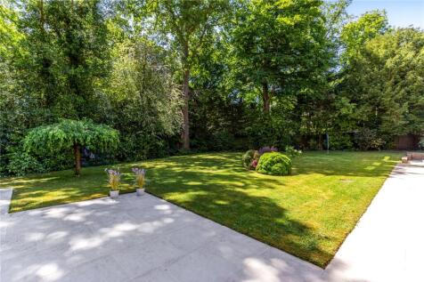Patio Area