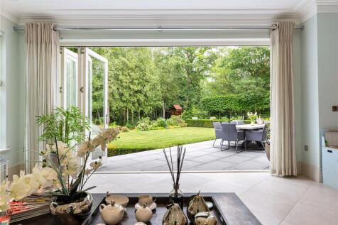 View Of Garden