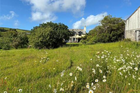 Wild Flower Meadow