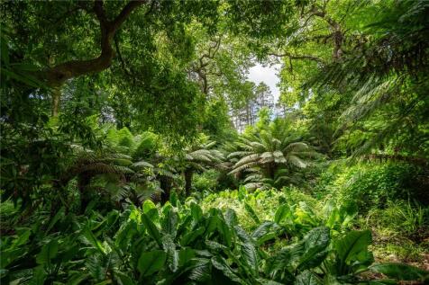Grounds