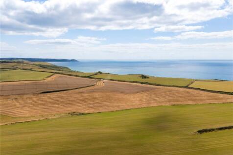 Local Cornish Coast