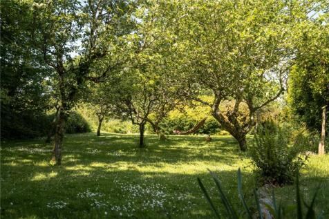 Orchard