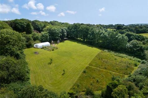 Field and Polytunnel