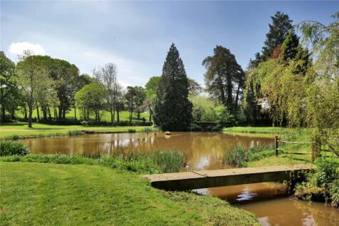 Pond