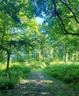 Woodlands