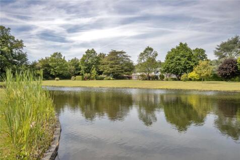 Pond
