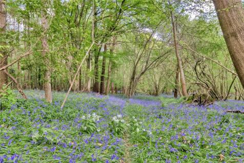 Woodland