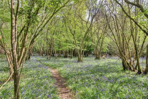 Woodland