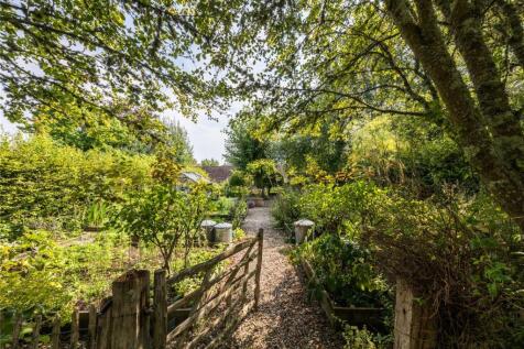 Vegetable Garden