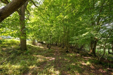 Woodland Shaw
