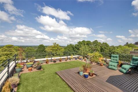 Roof Terrace