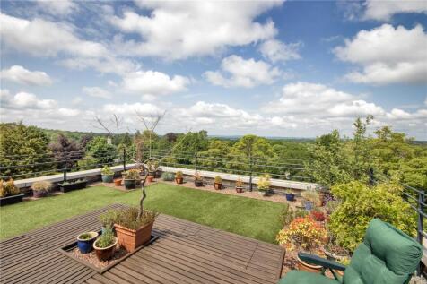 Roof Terrace