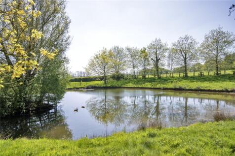 Pond