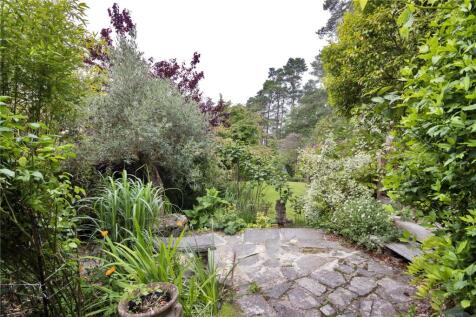 Paved Terrace