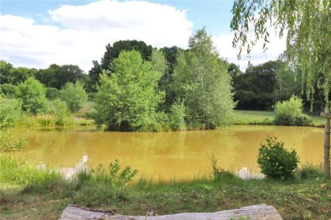 Pond