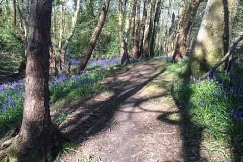 Woodland Walks