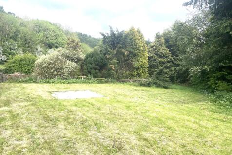Picture 12