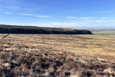 Land (Lot 2)
