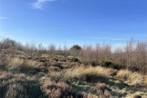 Land (Lot 1)