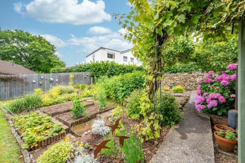 Vegetable Patch