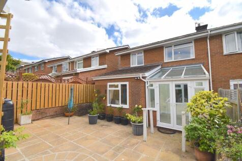 Rear elevation and garden