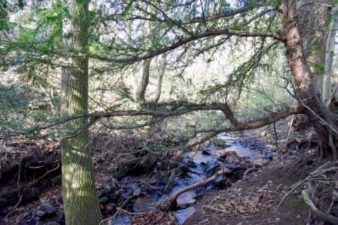 Stream